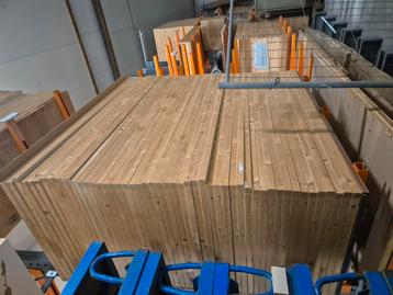 Diverse schilderdeurbladen en branddeurbladen beschikbaar voor biedingen