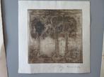 gravure Bomen Peter épreuve 1972, Antiek en Kunst, Kunst | Etsen en Gravures, Ophalen of Verzenden