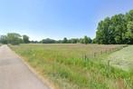 te koop weiland gelegen te Hamont, Immo, Gronden en Bouwgronden, HAMONT, Verkoop zonder makelaar, 1500 m² of meer