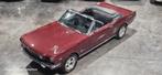 Ford Mustang cabriolet, Autos, Ford, Achat, Entreprise, Cabriolet, 2 portes