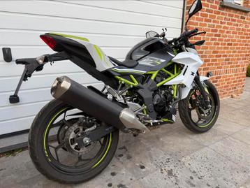 Kawasaki Z125 | 2019 | 8150km | A1/B rijbewijs  beschikbaar voor biedingen