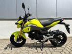 HONDA MSX - GROM, 1 cylindre, Naked bike, 124 cm³, Jusqu'à 11 kW