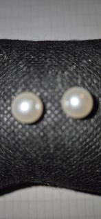 nr 136 oorbellen, Nieuw, Ophalen of Verzenden, Knopjes of Stekers, Zilver