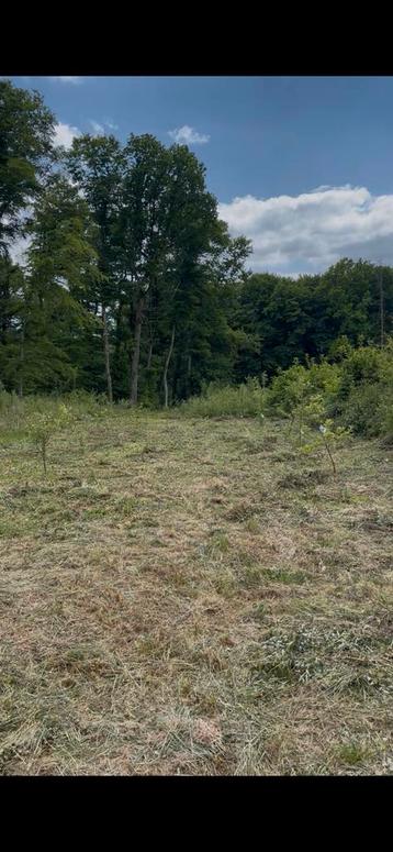 Terrain à louer 2000 m² Idéal pour pâturage beschikbaar voor biedingen
