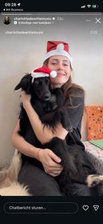 2 billets pour le concert de Charlotte De Witte, Tickets & Billets, Concerts | Pop, Février