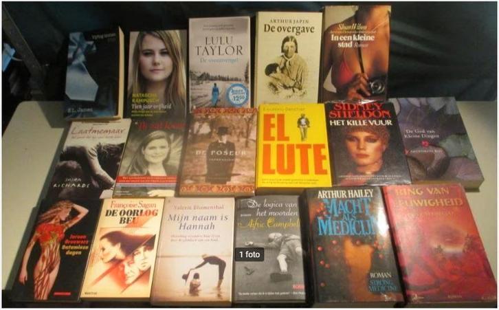 17 Prima nederlandstalige Romans, Boeken, Romans, Zo goed als nieuw, Ophalen of Verzenden