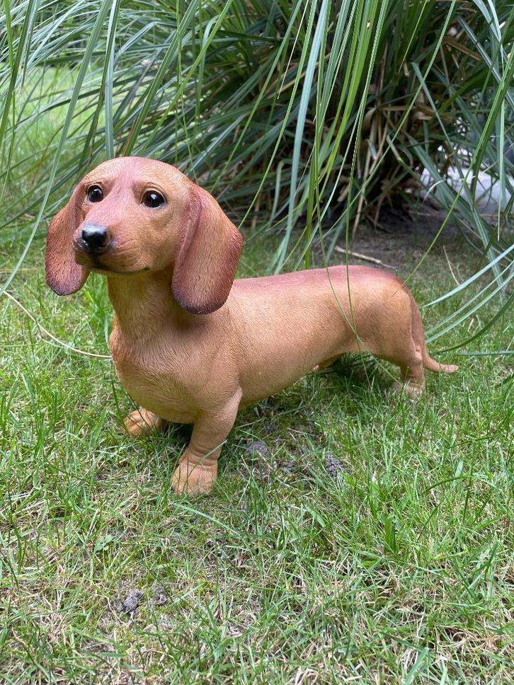 Tuin)Beeld teckel, tekkel, hond, tuin, gazon 40cm, Tuin en Terras, Tuinbeelden, Nieuw, Dierenbeeld, Kunststof, Ophalen of Verzenden