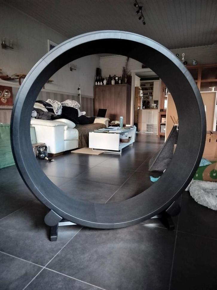 Kattenwiel One Fast Cat, Dieren en Toebehoren, Kattenspeelgoed, Ophalen