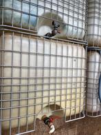 Watertanks van 1000 liter, 150 liter of meer, Ophalen, Gebruikt, Kunststof