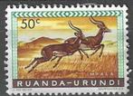 Ruanda-Urundi 1959/1961 - Yvert 208 - Impala (ZG), Postzegels en Munten, Verzenden, Overige landen, Postfris