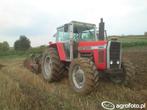 Gezocht massey Ferguson tractor, Zakelijke goederen, Landbouw | Tractoren, Ophalen, Massey Ferguson