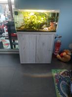 Fluval flex123l, Dieren en Toebehoren, Ophalen, Zo goed als nieuw, Leeg aquarium