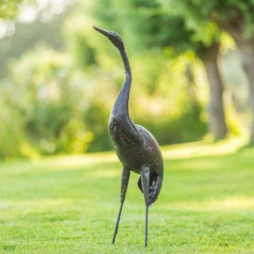 Mooievogels; Twee paradijsvogels  beschikbaar voor biedingen