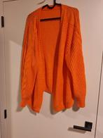 Gilet dames Shein - L, Enlèvement, Comme neuf