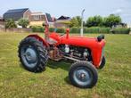 Massey Ferguson 35  3 cilinder, Zakelijke goederen, Landbouw | Tractoren, Ophalen, Oldtimer, Tot 80 Pk, Massey Ferguson