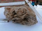 Pièce lourde de 5800 grammes de bois fossile pétrifié Allier, Fossile, Enlèvement ou Envoi
