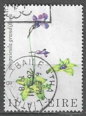 Ierland 1978 - Yvert 380 - Bloemen (ST) beschikbaar voor biedingen