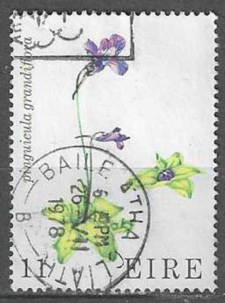 Ierland 1978 - Yvert 380 - Bloemen (ST), Postzegels en Munten, Postzegels | Europa | UK, Verzenden