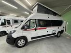 Pilote V 600 G met hefdak, Buscamper of Camperbus, Fiat, Pilote, Bedrijf