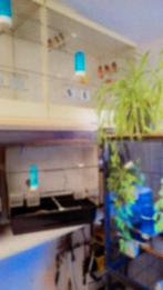 Kapoetsensijs ( koppels)