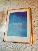 Litho Felix De Boeck, Antiek en Kunst, Kunst | Litho's en Zeefdrukken, Ophalen