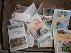 CHROMOS, Boeken, Prentenboeken en Plaatjesalbums, Ophalen of Verzenden