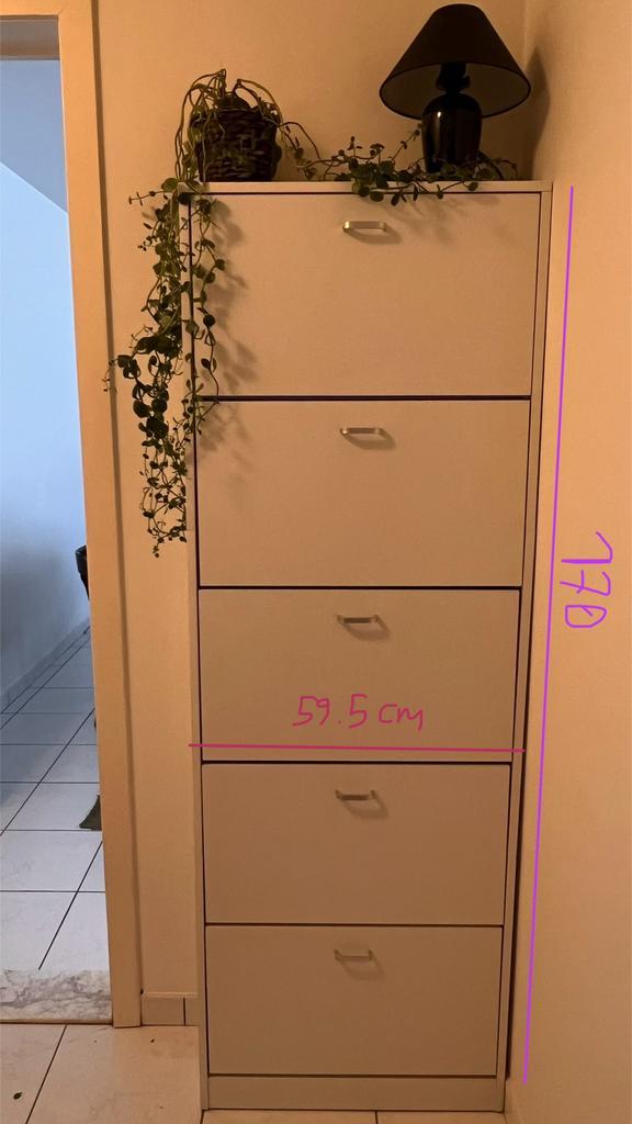 Meuble à chaussures- Schoenenkast, Maison & Meubles, Armoires | Armoires à chaussures, Comme neuf, Enlèvement