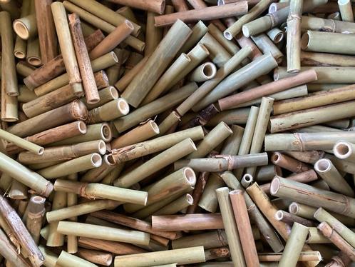 Bamboe voor bijenhotel/ insectenhotel - lengte 8 cm - 20 st., Tuin en Terras, Overige Tuin en Terras, Nieuw, Ophalen of Verzenden