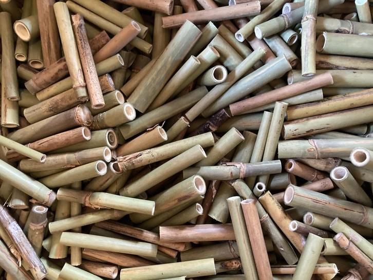 Bamboe voor bijenhotel/ insectenhotel - lengte 8 cm - 20 st., Tuin en Terras, Overige Tuin en Terras, Nieuw, Ophalen of Verzenden