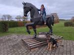 Metalen paard, Dieren en Toebehoren, Paarden
