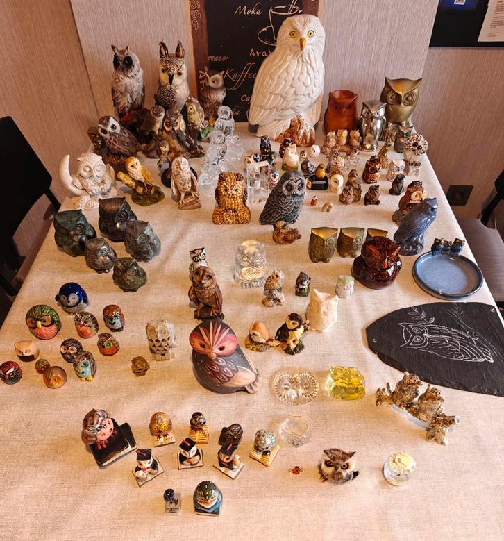 Collectie uilen, Verzamelen, Complete verzamelingen en Collecties, Ophalen