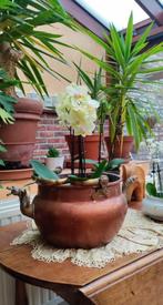 Ancien chaudron en cuivre, Enlèvement ou Envoi, Cuivre