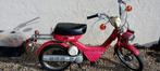 Suzuki fa 50, Vélos & Vélomoteurs, Cyclomoteurs | Oldtimers & Ancêtres, Autres marques, Enlèvement ou Envoi, Classe A (25 km/h)