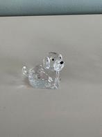 Chien Swarovski, Enlèvement, Comme neuf