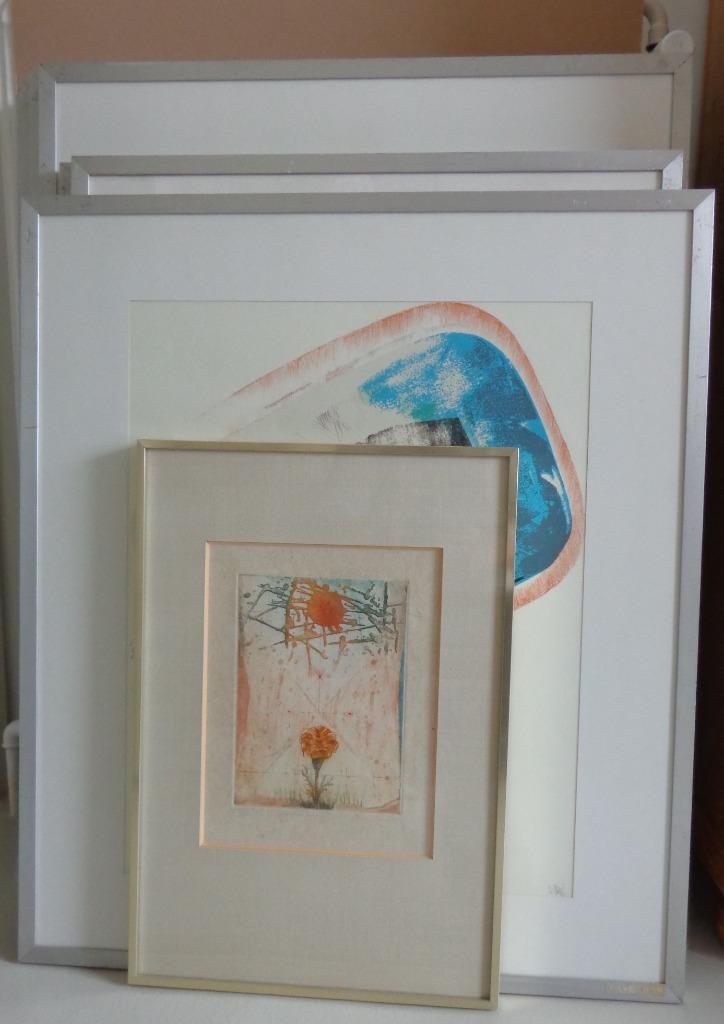 OPRUIM STOCK KUNSTWERKEN / TE KOOP / 35 EURO PER STUK, Antiek en Kunst, Kunst | Litho's en Zeefdrukken, Ophalen of Verzenden