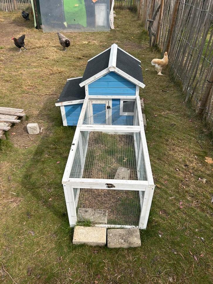 Kippenhok+ren, Dieren en Toebehoren, Pluimvee | Toebehoren, Nieuw, Kippenhok of Kippenren, Ophalen