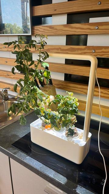 Click and grow smart garden beschikbaar voor biedingen