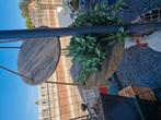 hout + koord plantenhanger 40cm  €15, Antiek en Kunst, Ophalen