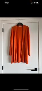 Xandres/ vest/ oranje/ maat L €25, Ophalen of Verzenden, Zo goed als nieuw, Maat 42/44 (L), Oranje