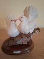 Pigeons (italien), Enlèvement, Neuf