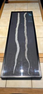 Tableau unique avec deux mues de serpent naturelles, Ophalen, Zo goed als nieuw, Reptiel of Amfibie, Overige typen