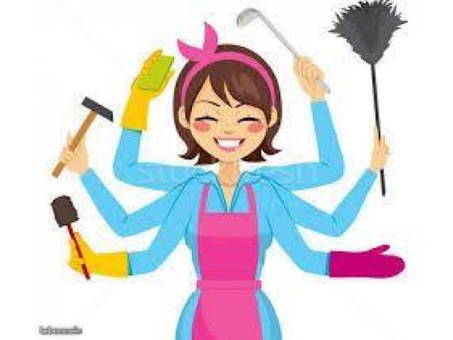 Nettoyage Maison, Bureau, Vitres, Local etc, Huis en Inrichting, Schoonmaakartikelen