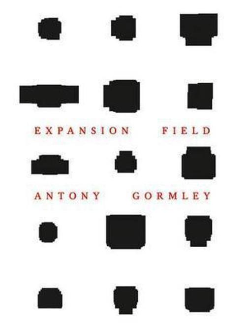 ANTONY GORMLEY - Peter Fischer, Livres, Art & Culture | Arts plastiques, Comme neuf, Enlèvement ou Envoi