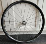 Carbon gravelwielen - Campagnolo Levante DB, Fietsen en Brommers, Fietsonderdelen, Ophalen, Nieuw, Wiel