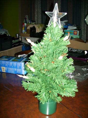 kerstboompje beschikbaar voor biedingen