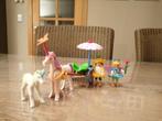 playmobil 4934 elfje met koets, Kinderen en Baby's, Speelgoed | Playmobil, Ophalen, Zo goed als nieuw, Complete set
