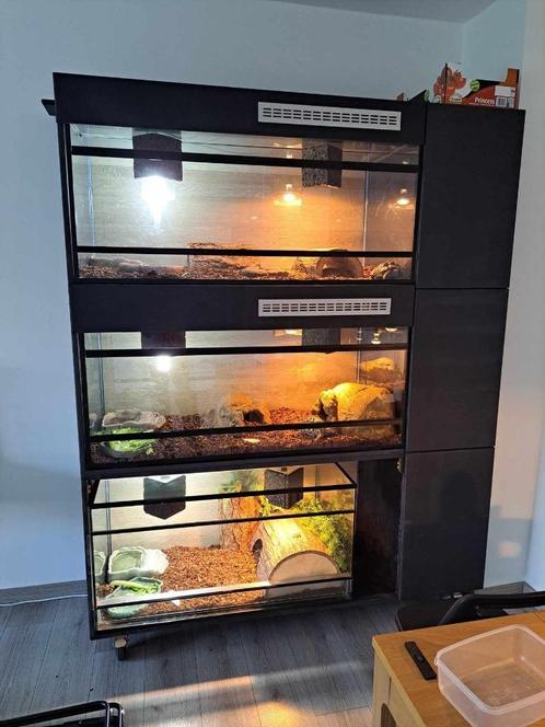 Terrariumkast, Dieren en Toebehoren, Reptielen en Amfibieën | Toebehoren, Gebruikt, Terrarium of Paludarium, Ophalen