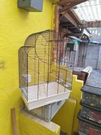 Vogelkooi, Dieren en Toebehoren, Vogels | Hokken en Kooien, Ophalen, Zo goed als nieuw, Vogelkooi