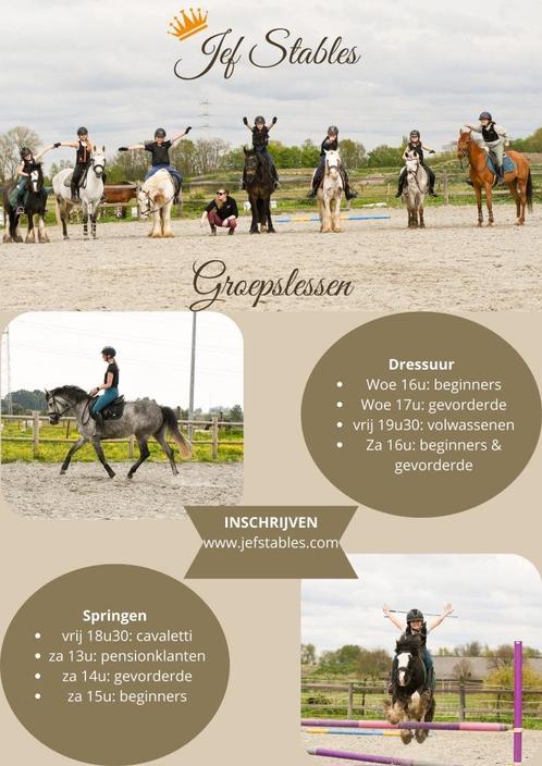 Groepslessen en privé-lessen te Jef Stables in Zulte, Animaux & Accessoires, Chevaux & Poneys | Produits de soin, Enlèvement