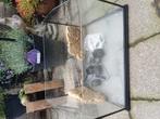 Terrarium voor schildpadden 60x45x37, Dieren en Toebehoren, Reptielen en Amfibieën | Toebehoren, Ophalen